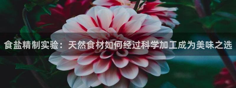 威九国际合作伙伴有哪些