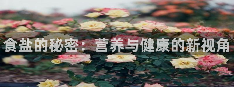 威九国际FF