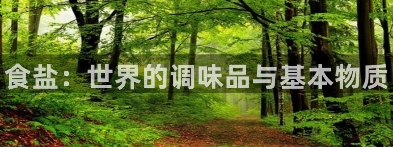 威九国际地址