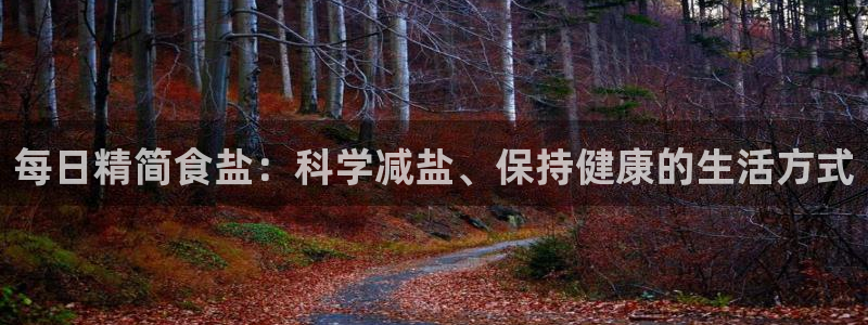 威九国际软件公司简介