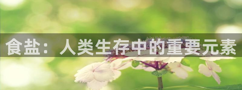 威九国际网页看视频弹窗的广告拦截插件