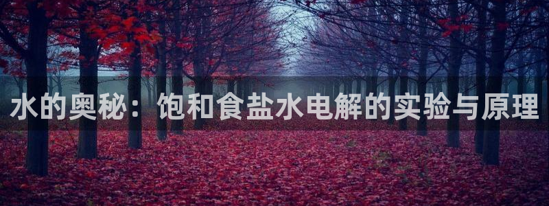 威九国际取款不会被骗吧吗
