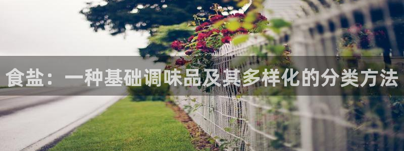 威九国际A