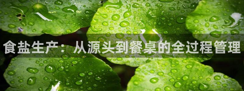 威九国际官网版