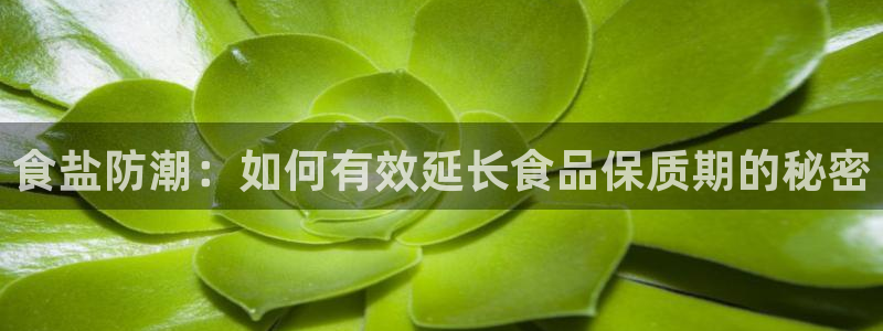 威九国际ppt官网：食盐防潮：如何有效延长食品保质期的秘密