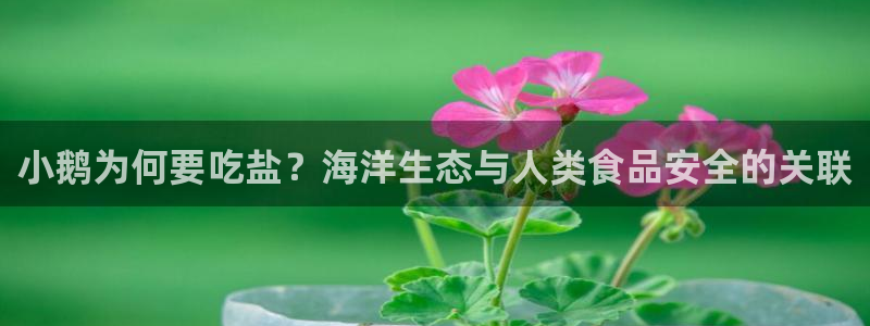 威九国际体育app下载