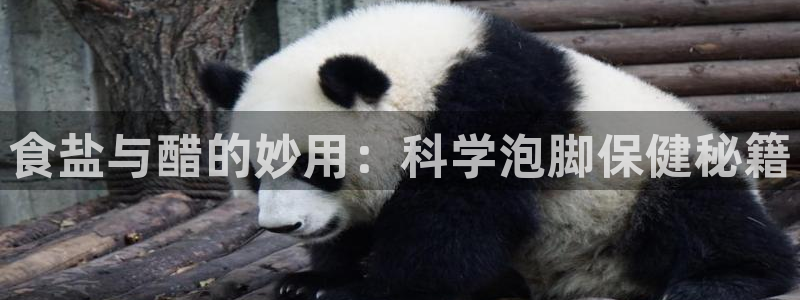 威九国际网站怎么样可靠吗