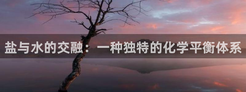 威九国际v96bet下载
