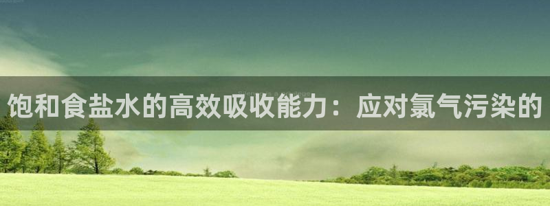 威九国际66m66：饱和食盐水的高效吸收能力：应对氯气污染的