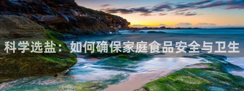 威九国际系列
